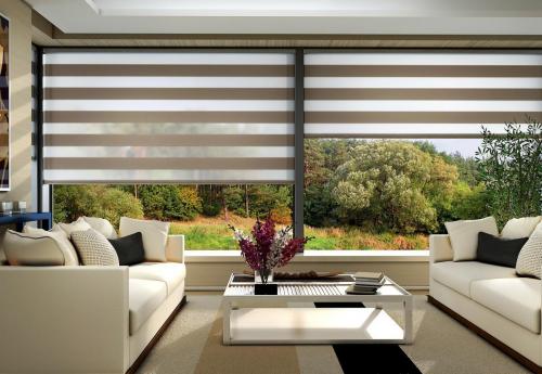 sheer roller blind (1)